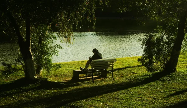 Person sitting on a bench beside a peaceful lake surrounded by trees, reflecting in prayer and quiet contemplation.